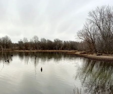 Bushwhacker Lake Conservation Area