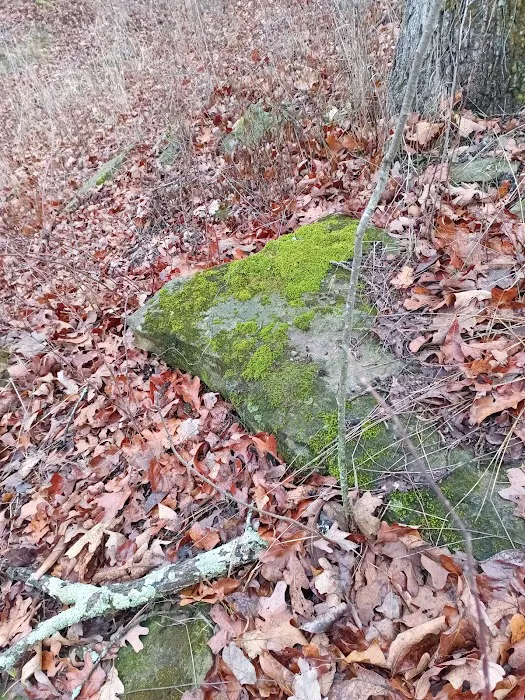 Bushwhacker Lake Conservation Area Picture 2