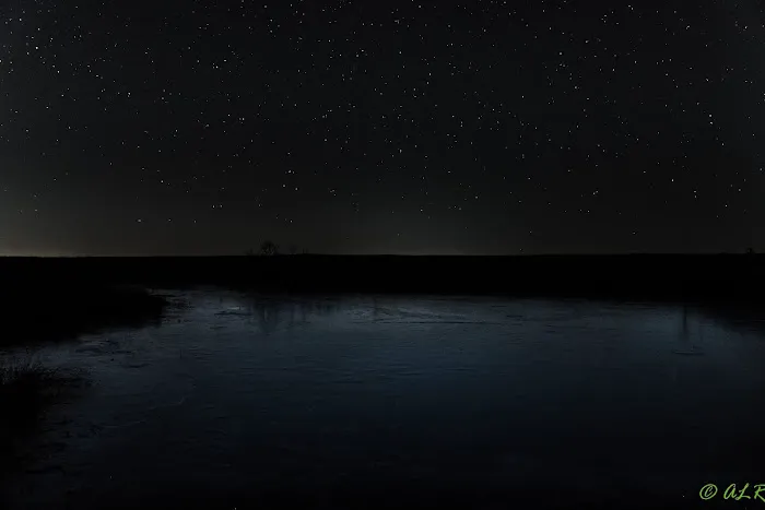 Bushwhacker Lake Conservation Area Picture 9