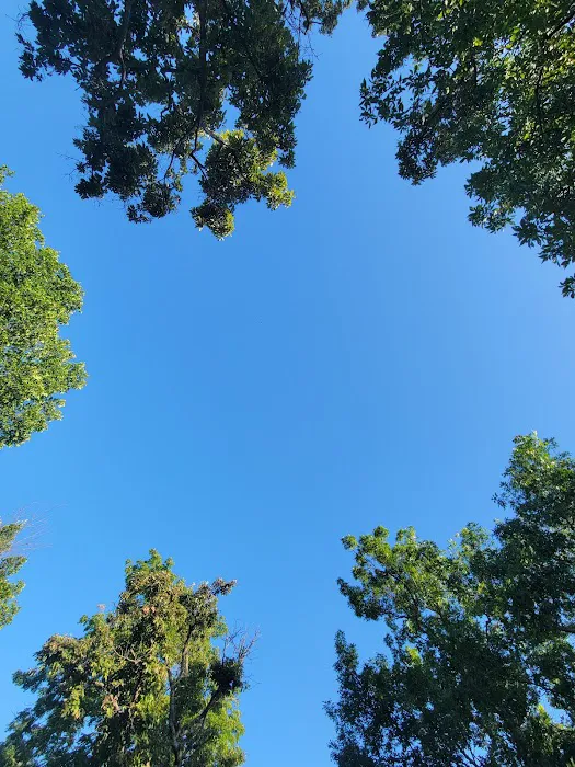 Oak Point Campground Picture 4