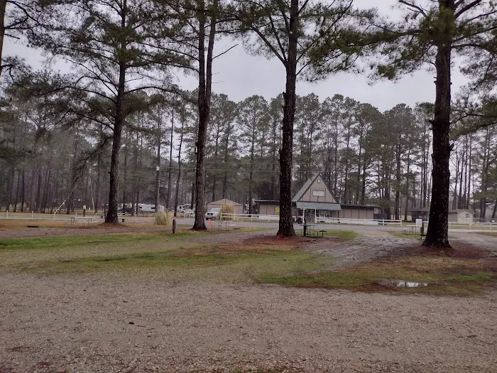 Enfield KOA Picture 8