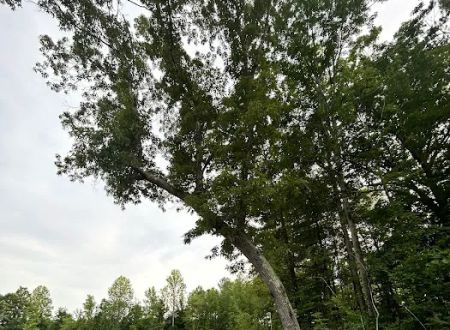 2 Lakes RV Resort