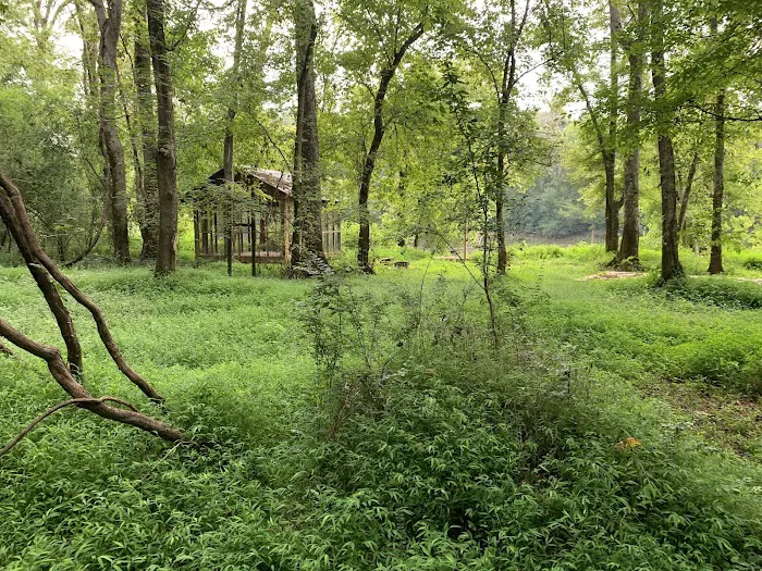 Tusca Landing Picture 2