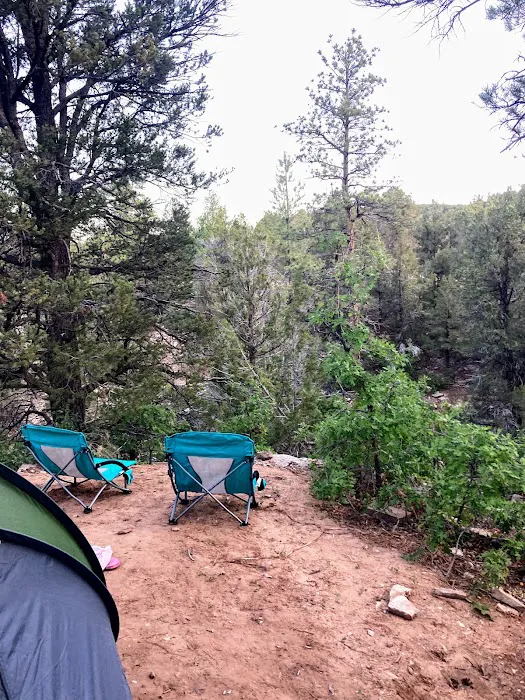 Ponderosa Campground and RV Park Picture 5