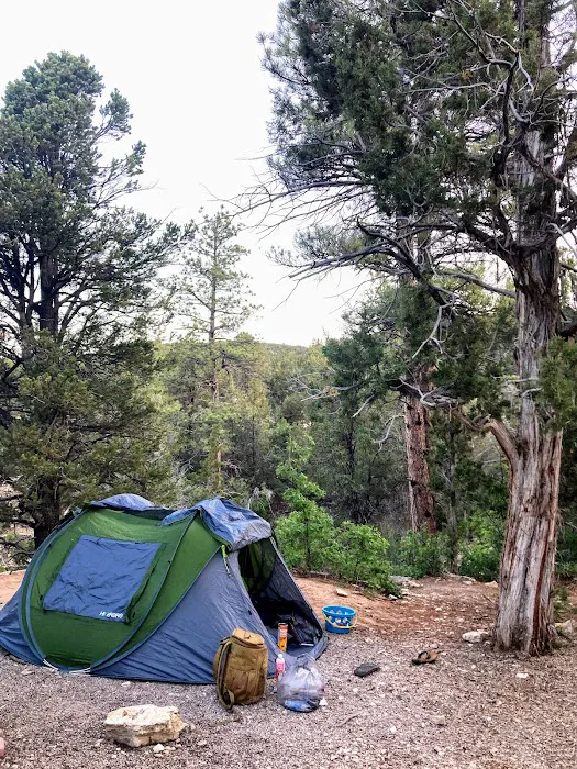 Ponderosa Campground and RV Park Picture 4