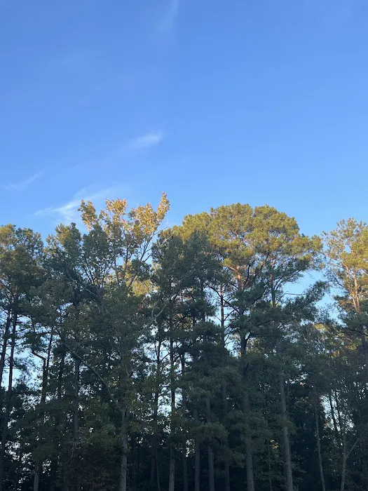 Cattail Creek Campground Picture 5