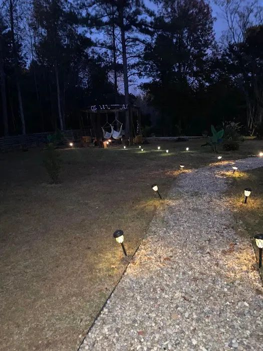 Evelyn’s Island Picture 7