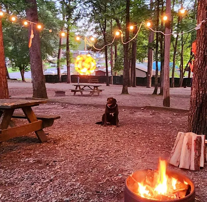 Lake Gaston Americamps Picture 6