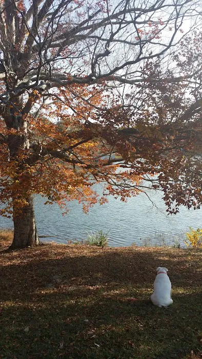 Americamps Lake Gaston Picture 3