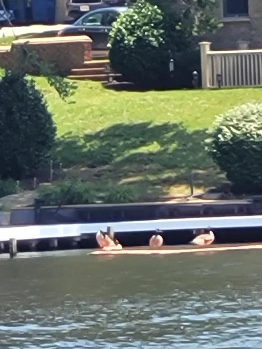 Americamps Lake Gaston Picture 10