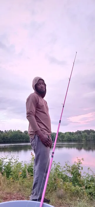 WRC Gamelands Platform Picture 1