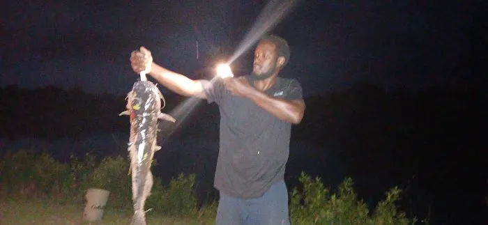 WRC Gamelands Platform Picture 4