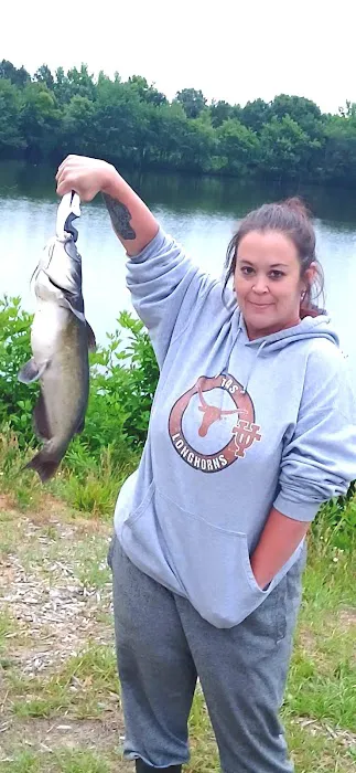 WRC Gamelands Platform Picture 5