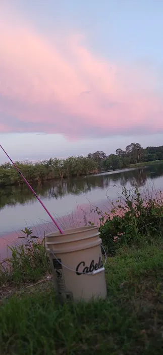 WRC Gamelands Platform Picture 7