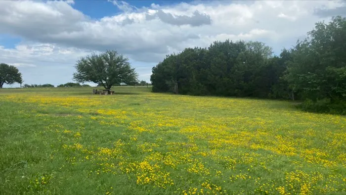 Picnic Area Picture 5