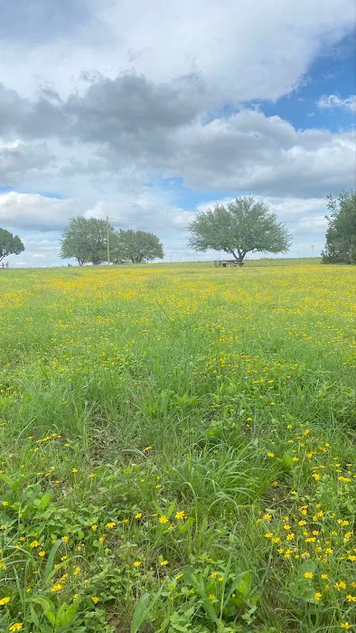 Picnic Area Picture 1