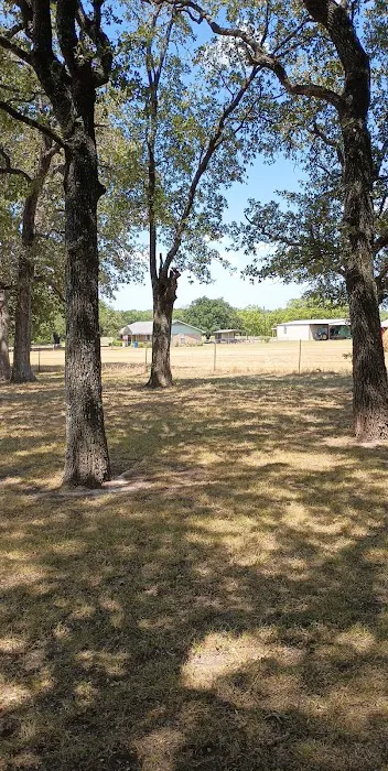 Picnic Area Picture 6