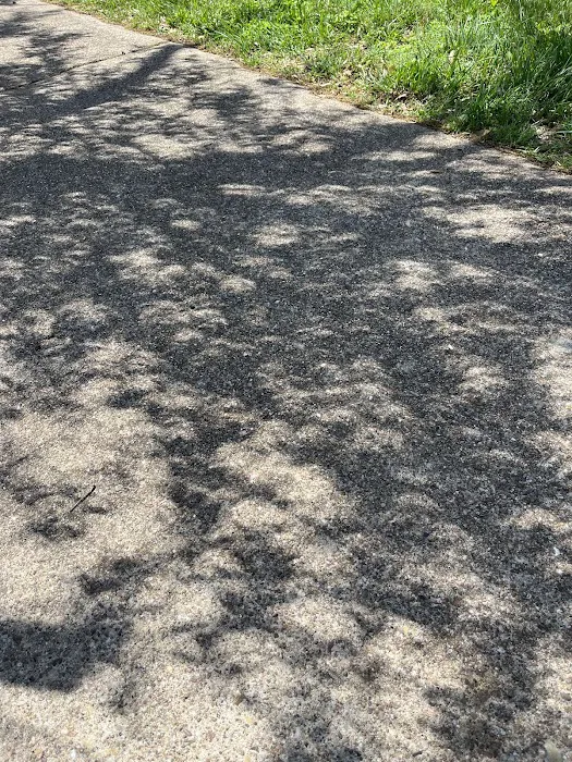 Picnic Area Picture 8