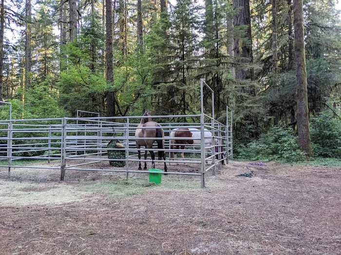 Howard Creek Horse Campground Picture 4