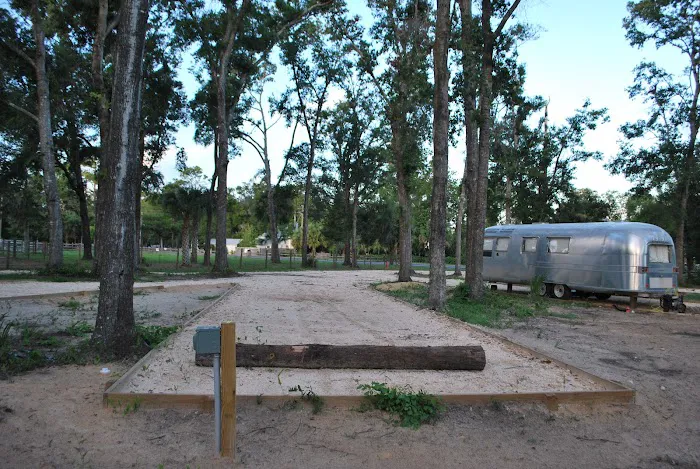 Steinhatchee Hills Campground Picture 2