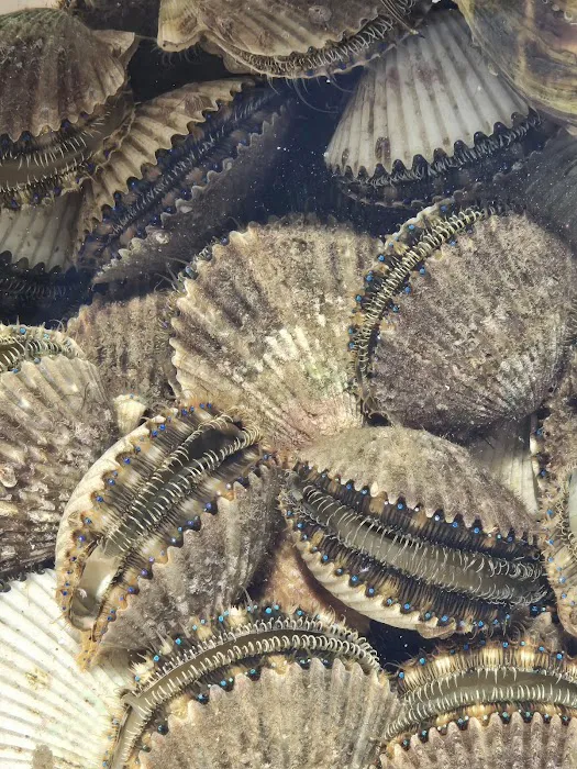 Crooked Oak Landing Picture 3