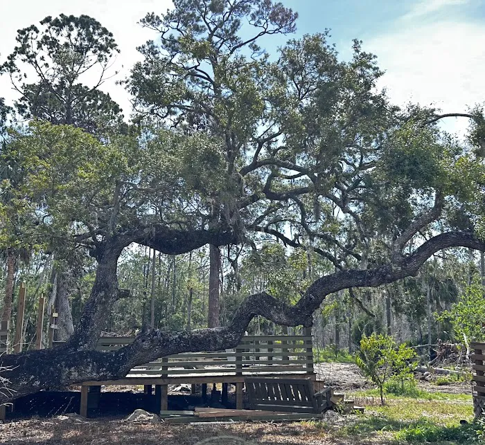 Crooked Oak Landing Picture 2