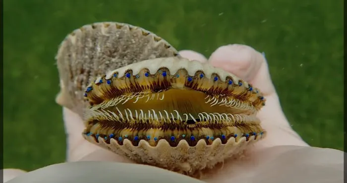 Sweet Paradise RV & Slips Picture 1