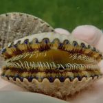 Sweet Paradise RV & Slips