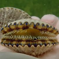 Sweet Paradise RV & Slips ico