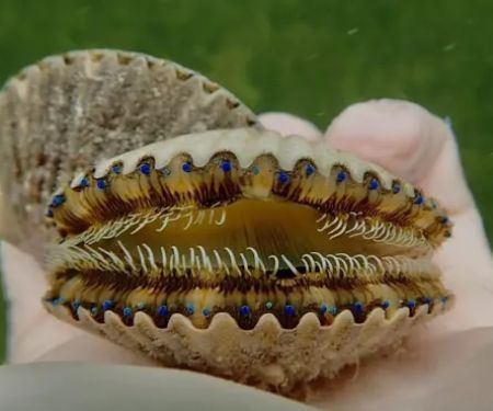 Sweet Paradise RV & Slips