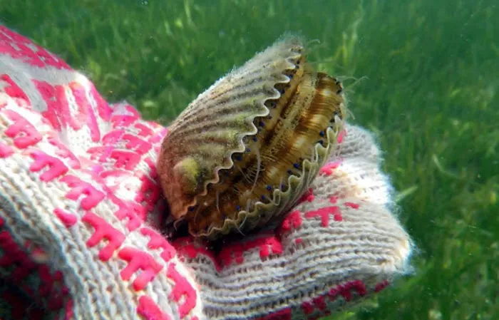 Sweet Paradise RV & Slips Picture 8