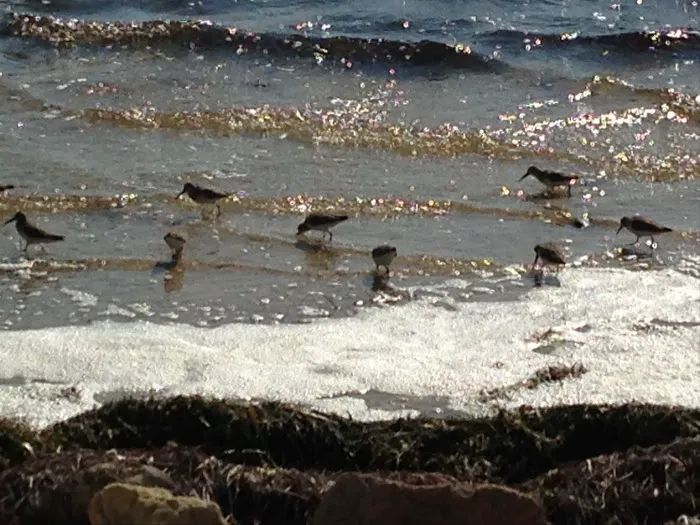 Old Pavilion RV Camp Ground Picture 8