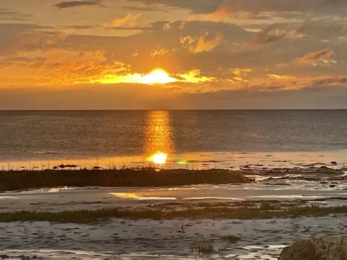 pura vida overnight Picture 2