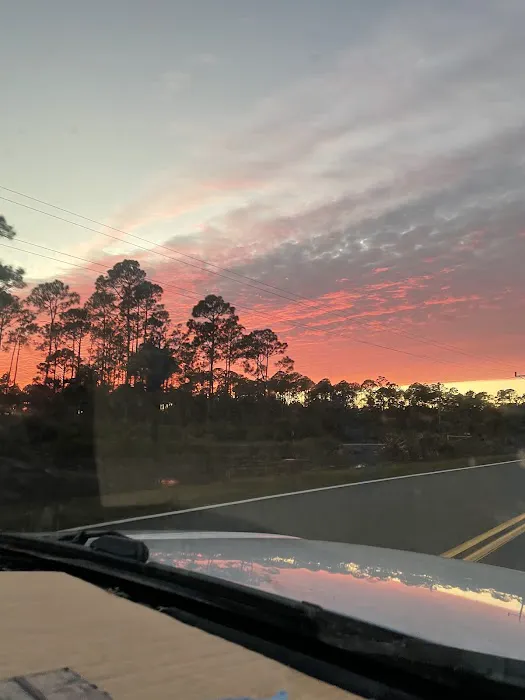 pura vida overnight Picture 4