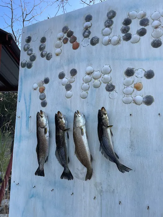 Scallop Tyme RV Campground Picture 1