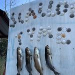 Scallop Tyme RV Campground