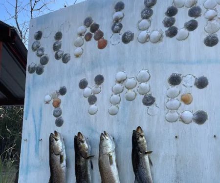 Scallop Tyme RV Campground