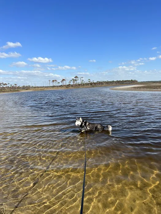 Campfire at Keaton, LLC Picture 6