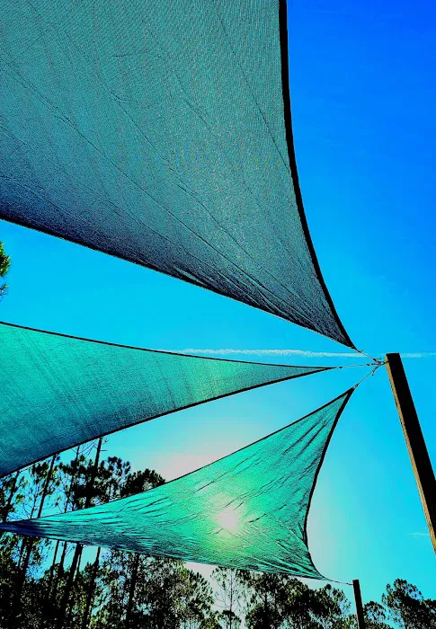 The Oasis RV Campground Picture 6