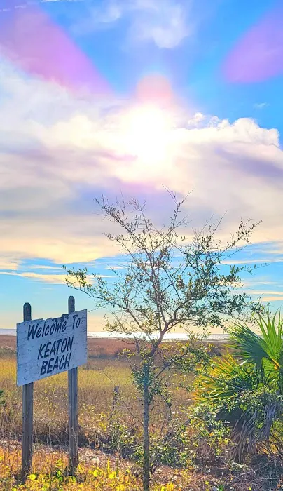 The Oasis RV Campground Picture 7