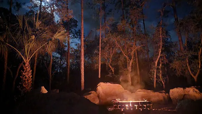 The Oasis RV Campground Picture 5