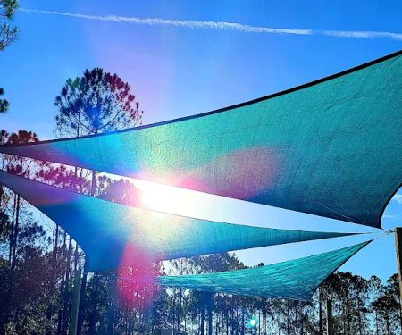 The Oasis RV Campground