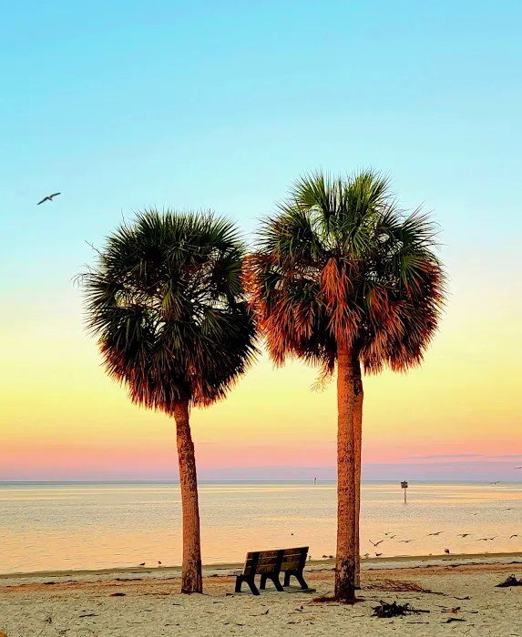 The Oasis RV Campground Picture 4