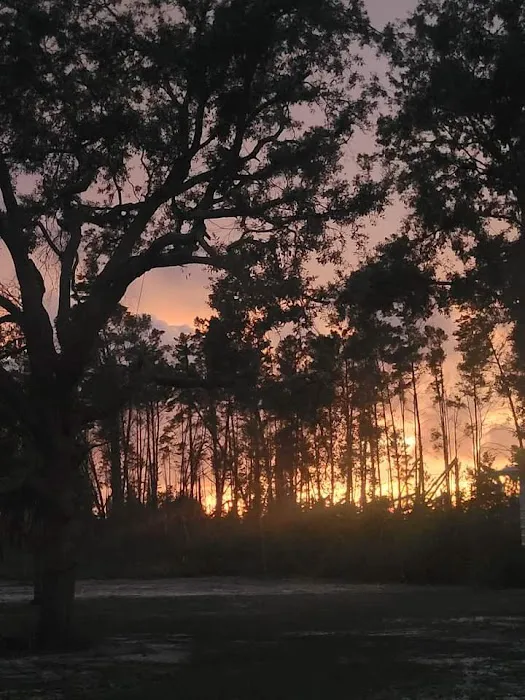 Southern Charm Campground Picture 5