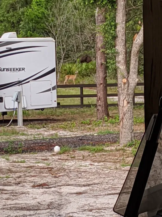 Kamp Keaton Picture 2