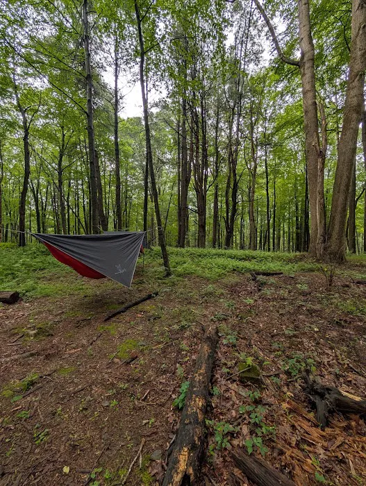 Campsite #92 Picture 2