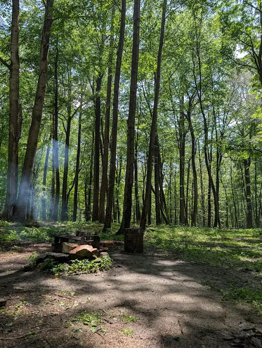 Campsite #92 Picture 1