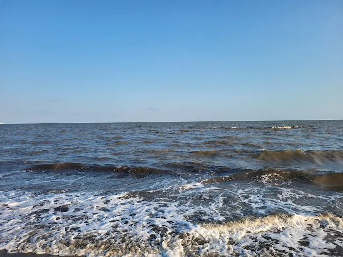 Holly Beach, LA Picture 6