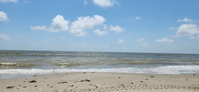 Holly Beach, LA Picture 4