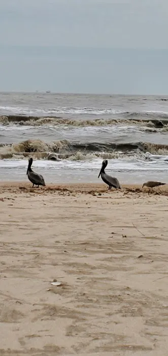 Rutherford Beach Picture 1